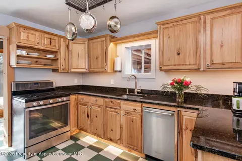 203 E Homestead Drive Basalt Co 81621 Dr, Basalt, CO 81621 photo 4