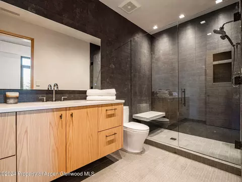 30 Maroon Court Aspen Co 81611 Ct, Aspen, CO 81611 photo 40