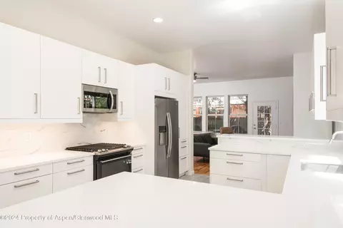 509 Lake Court Basalt Co 81621 Ct, Basalt, CO 81621 photo 7