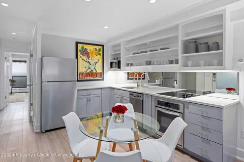 980 E Hyman Avenue 5 Aspen Co 81611 Ave #5, Aspen, CO 81611