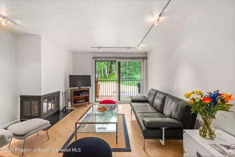 205 E Durant Avenue 2d Aspen Co 81611 Ave #2D, Aspen, CO 81611