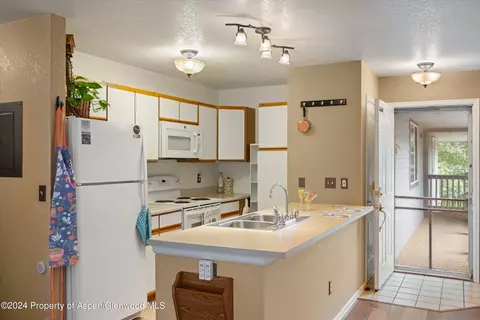 3207 Elk Lane Basalt Co 81621 Ln, Basalt, CO 81621 photo 7