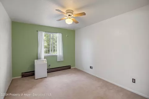 3207 Elk Lane Basalt Co 81621 Ln, Basalt, CO 81621 photo 10