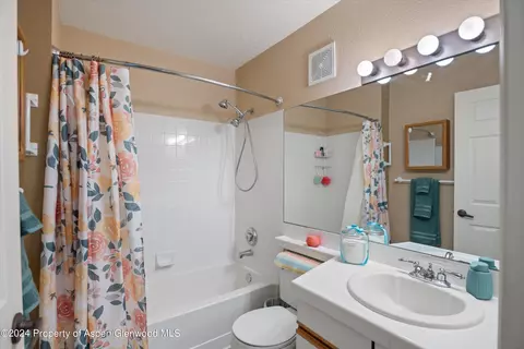 3207 Elk Lane Basalt Co 81621 Ln, Basalt, CO 81621 photo 9