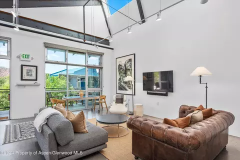 Living - 28 Widget Street Apt 411 Basalt Co 81621 St # 411, Basalt, CO 81621 photo 3 of 5
