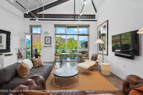 Living - 28 Widget Street Apt 411 Basalt Co 81621 St # 411, Basalt, CO 81621 photo 2 of 5