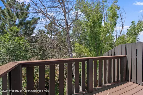 Exterior - 37 Sagewood Court Basalt Co 81621 Ct, Basalt, CO 81621 photo 9 of 9