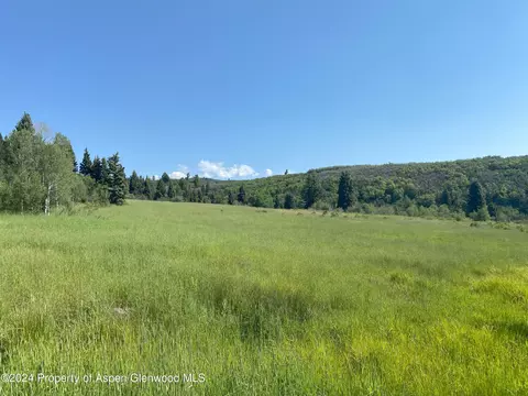 tbd Tbd Mountain Springs Road Glenwood Springs Co 81601 Rd, Glenwood Springs, CO 81601