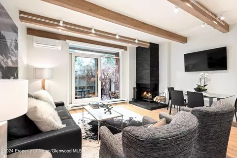 210 E Hyman Avenue 3 Aspen Co 81611 Ave #3, Aspen, CO 81611