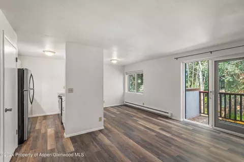 425 Park Circle B Aspen Co 81611 Cir #B, Aspen, CO 81611