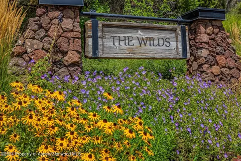 408 Wild Spring Lane Basalt Co 81621 Ln, Basalt, CO 81621 photo 45
