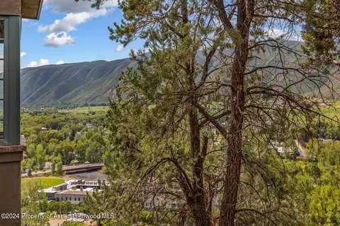 408 Wild Spring Lane Basalt Co 81621 Ln, Basalt, CO 81621 photo 43