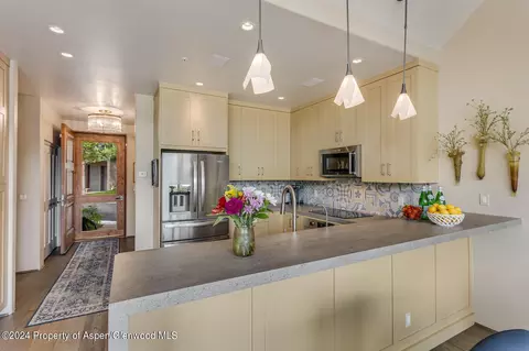 408 Wild Spring Lane Basalt Co 81621 Ln, Basalt, CO 81621 photo 13