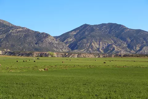 tbd County Road 233 Rifle Co 81650, Rifle, CO 81650