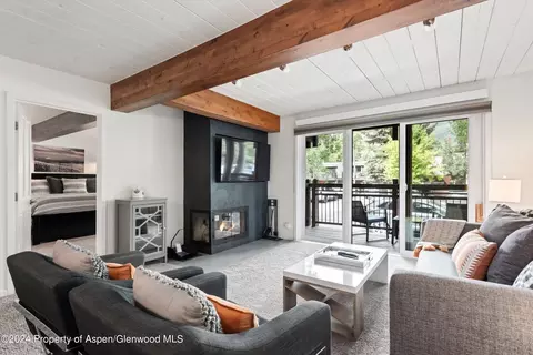 131 E Durant Avenue Apt 102 Aspen Co 81611 Ave # 102, Aspen, CO 81611