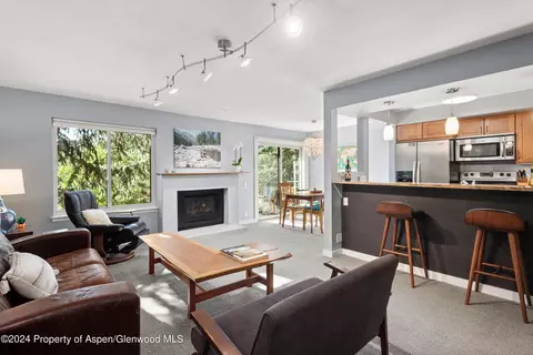 35 Lower Woodbridge Road U175 Snowmass Village Co 81615 Rd #U175, Snowmass Village, CO 81615