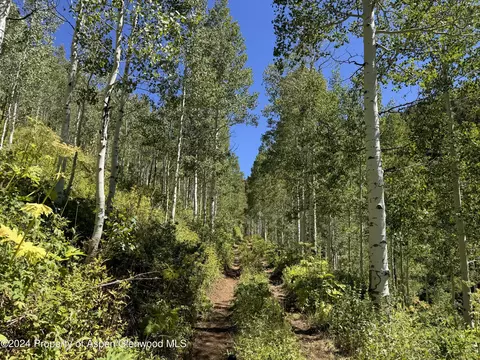 N/a F S 602 Road, Glenwood Springs, CO 81601