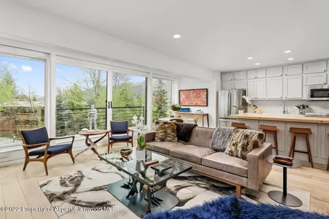 748 S Galena Street 4d Aspen Co 81611 St #4D, Aspen, CO 81611