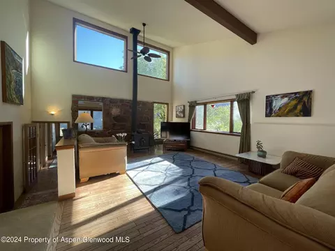 171 Castle Lane Basalt Co 81621 Ln, Basalt, CO 81621 photo 5