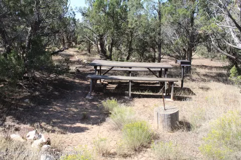 4229 V 510 Road Road De Beque Co 81630 Rd, De Beque, CO 81630 photo 17