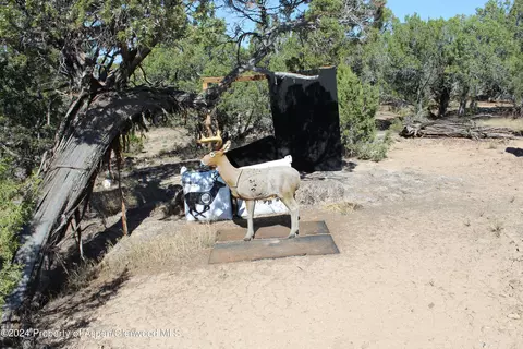 4229 V 510 Road Road De Beque Co 81630 Rd, De Beque, CO 81630 photo 12