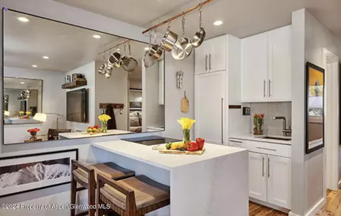 700 W Hopkins Avenue Apt 8 Aspen Co 81611 Ave # 8, Aspen, CO 81611