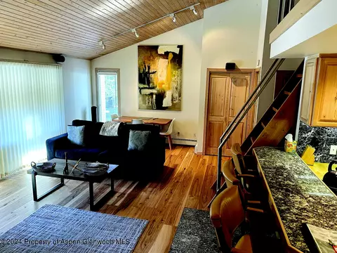 935 E Hopkins Apt 12 Aspen Co 81611, Aspen, CO 81611