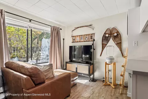 725 E Main Street Apt 103 Aspen Co 81611 St # 103, Aspen, CO 81611