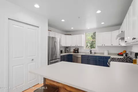 214 Lakeside Drive Basalt Co 81621 Dr, Basalt, CO 81621 photo 3