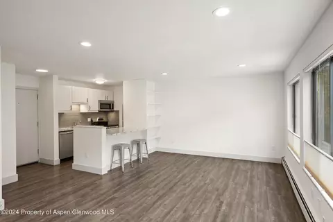 725 E Main Street Apt 209 Aspen Co 81611 St # 209, Aspen, CO 81611