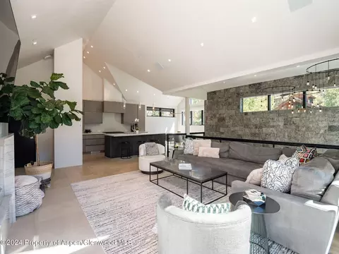 1154 E Cooper Avenue Aspen Co 81611 Ave, Aspen, CO 81611 photo 7
