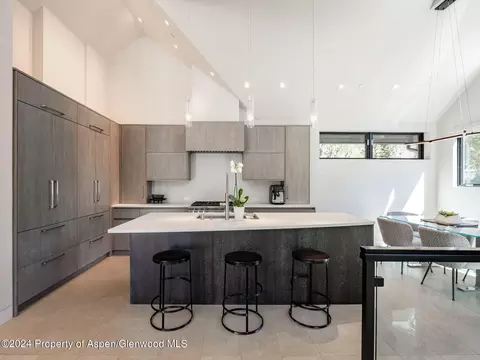 1154 E Cooper Avenue Aspen Co 81611 Ave, Aspen, CO 81611 photo 9