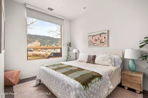 102 Evans Road 106 Basalt Co 81621 Rd #106, Basalt, CO 81621 photo 8