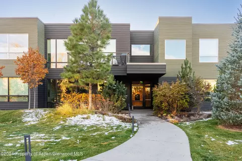 101 Willits Way 203 Basalt Co 81621 Way #203, Basalt, CO 81621