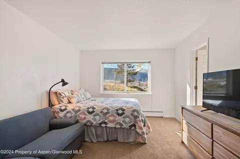 Bedroom - 20 Pine Ridge Road Basalt Co 81621 Rd, Basalt, CO 81621 photo 4 of 4