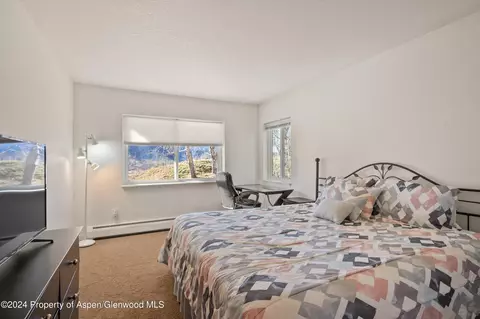 Bedroom - 20 Pine Ridge Road Basalt Co 81621 Rd, Basalt, CO 81621 photo 3 of 4