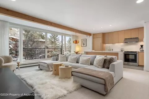 728 S Galena Street 102-b Aspen Co 81611 St #102-B, Aspen, CO 81611