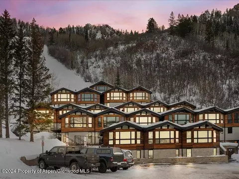 809 S Aspen Street 20 Aspen Co 81611 St #20, Aspen, CO 81611