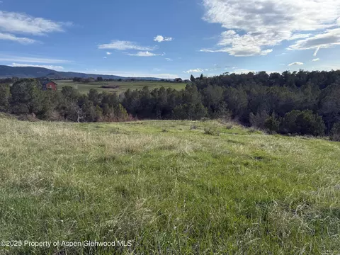 14495 Scott Loop Collbran Co 81624 Loop, Collbran, CO 81624 photo 13