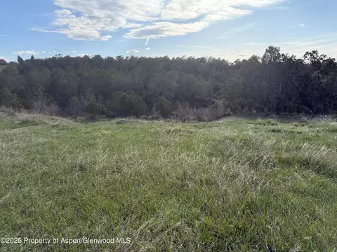 14495 Scott Loop Collbran Co 81624 Loop, Collbran, CO 81624 photo 5