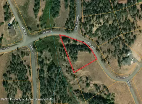 14495 Scott Loop Collbran Co 81624 Loop, Collbran, CO 81624 photo 3
