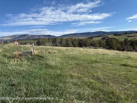 14495 Scott Loop Collbran Co 81624 Loop, Collbran, CO 81624 photo 11