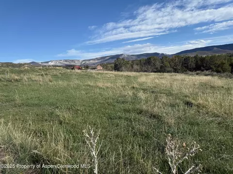 14495 Scott Loop Collbran Co 81624 Loop, Collbran, CO 81624 photo 10