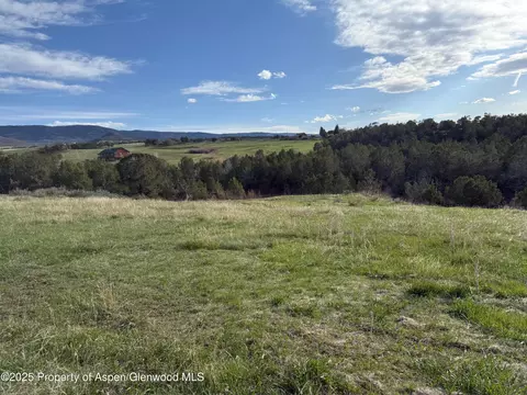 14495 Scott Loop Collbran Co 81624 Loop, Collbran, CO 81624 photo 9