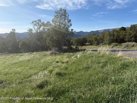 14495 Scott Loop Collbran Co 81624 Loop, Collbran, CO 81624 photo 12