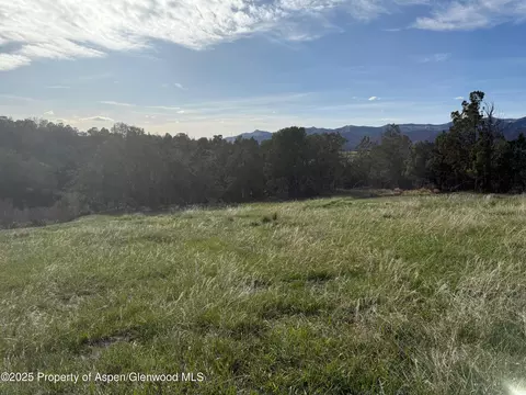 14495 Scott Loop Collbran Co 81624 Loop, Collbran, CO 81624 photo 2