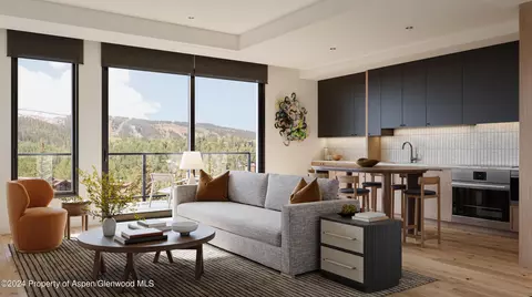 221 Wood Road 213 Snowmass Village Co 81615 Rd #213, Snowmass Village, CO 81615