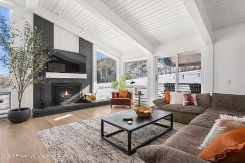 360 Wood Road 301 Snowmass Village Co 81615 Rd #301, Snowmass Village, CO 81615