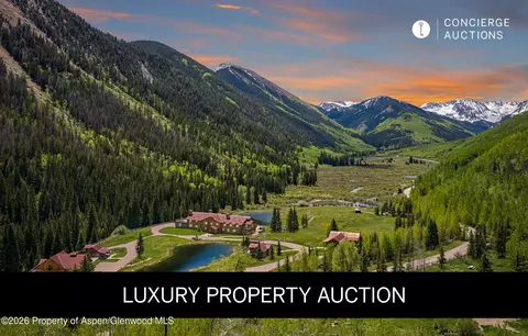 125 Rooney Circle Aspen Co 81611 Cir, Aspen, CO 81611