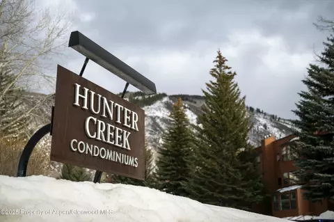 910 Vine Street 910 Aspen Co 81611 St #910, Aspen, CO 81611